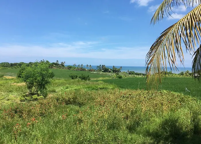 Alojamento de Acomodação e Pequeno-almoço Exotica Bali - Adults Only Canggu